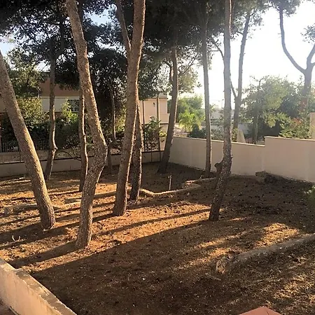 Iavernaro